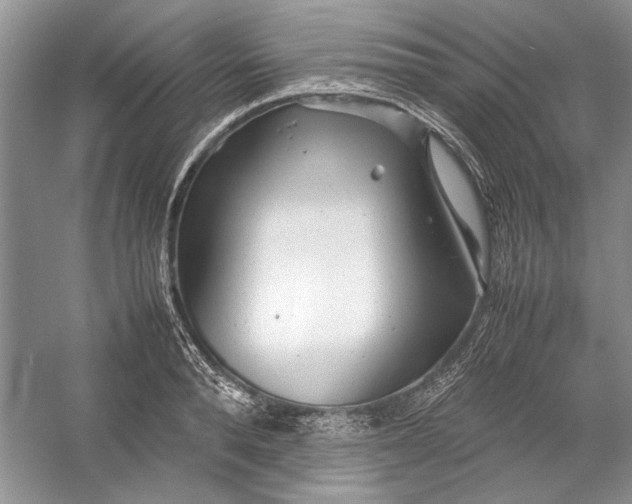 X0000054370896200508191843