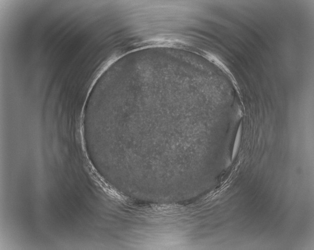 X0000054370899200508191843