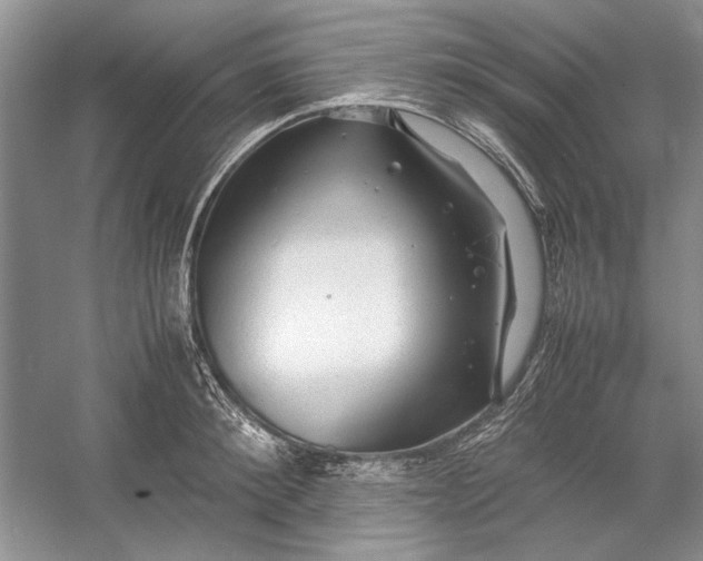 X0000054370900200508191843