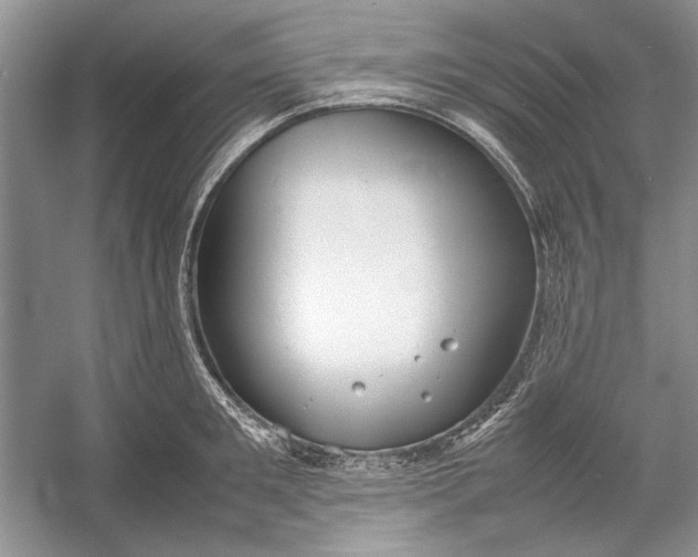 X0000054370901200508191843