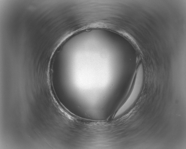 X0000054370902200508191843