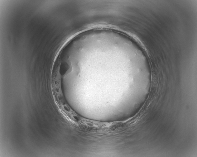 X0000054370903200508191843