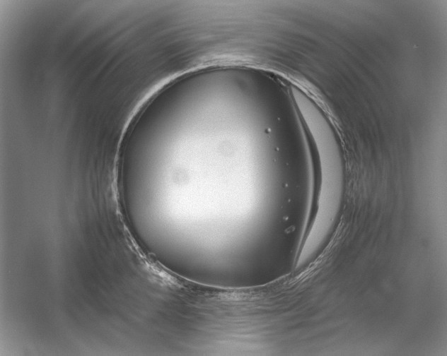 X0000054370904200508191843