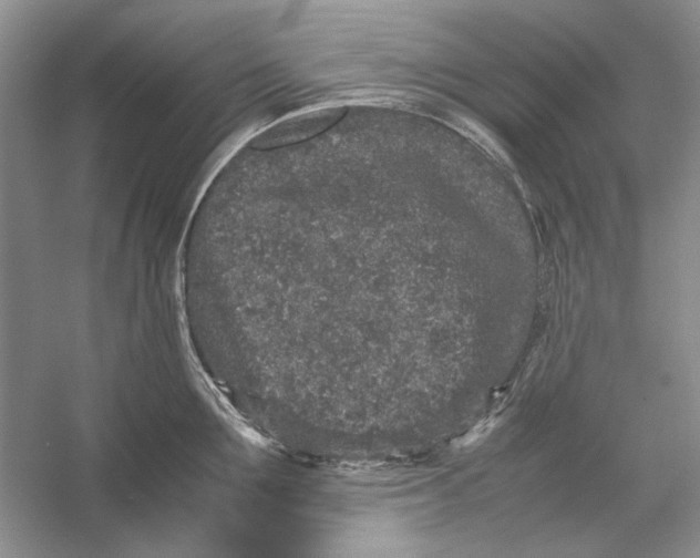 X0000054370907200508191843