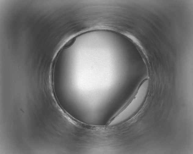 X0000054370910200508191843