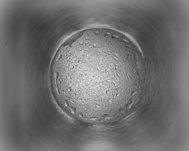 X0000054370911200508191843