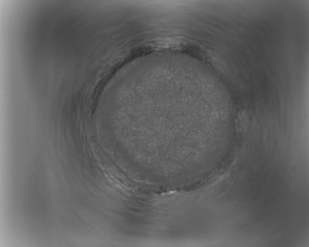 X0000054370913200508191842