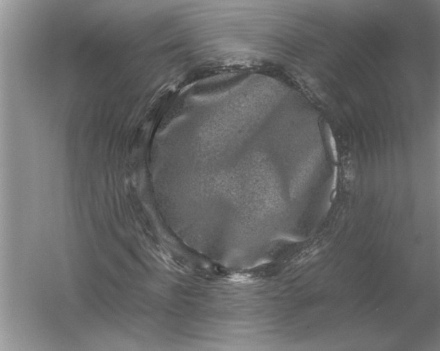 X0000054370916200508191842