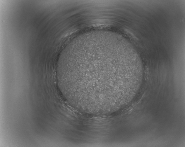 X0000054370917200508191842