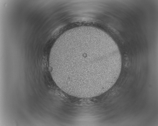 X0000054370918200508191842