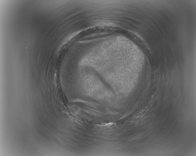 X0000054370919200508191842