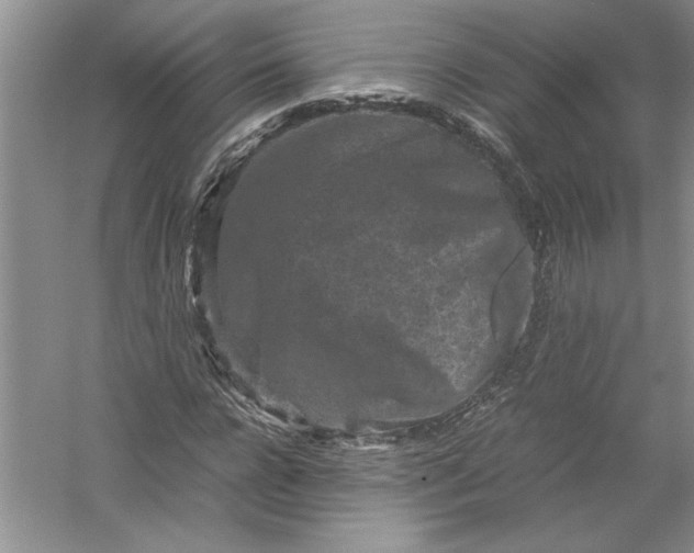 X0000054370920200508191842