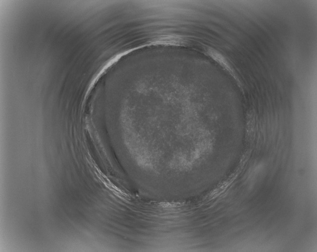 X0000054370923200508191842