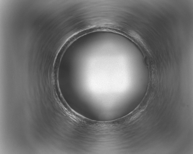 X0000054370924200508191842