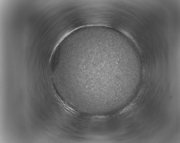 X0000054370925200508191842