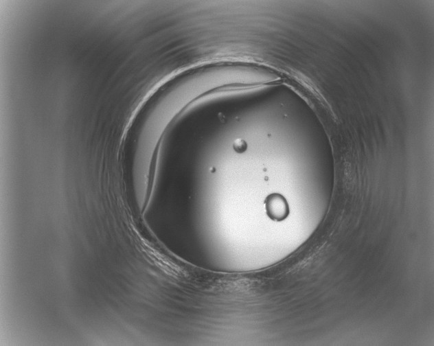 X0000054370926200508191842