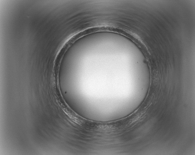 X0000054370927200508191842