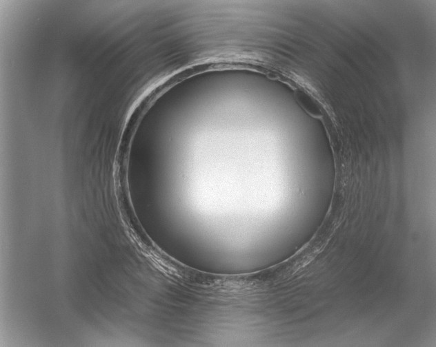 X0000054370928200508191842