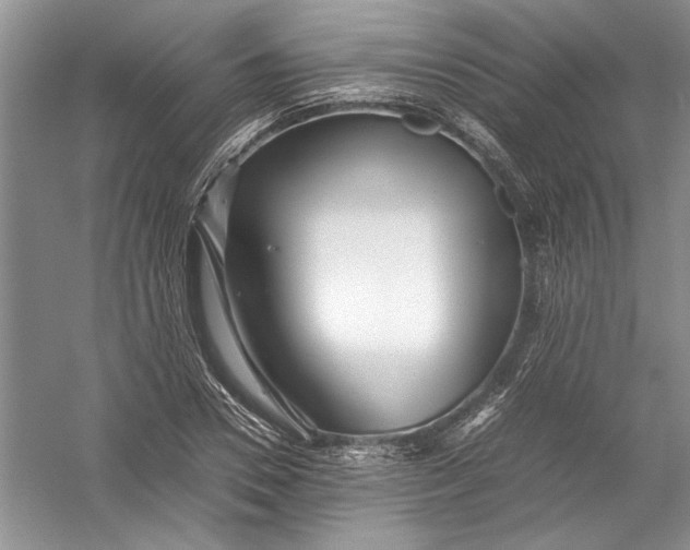 X0000054370930200508191842