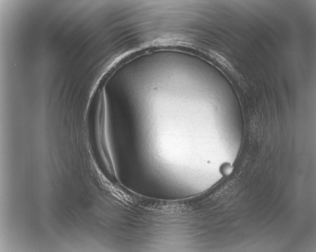 X0000054370934200508191842