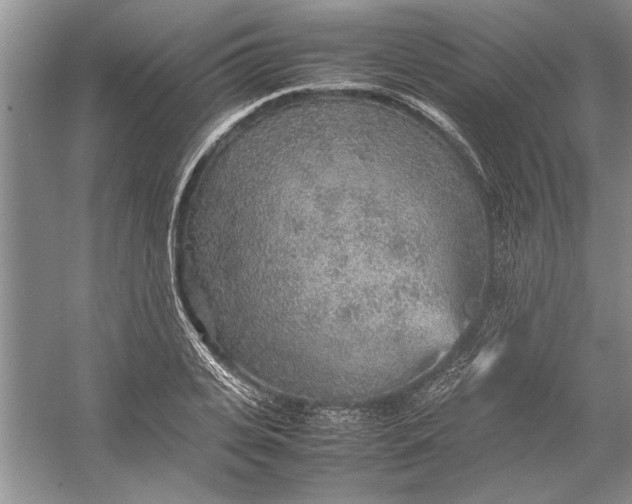 X0000054370935200508191842