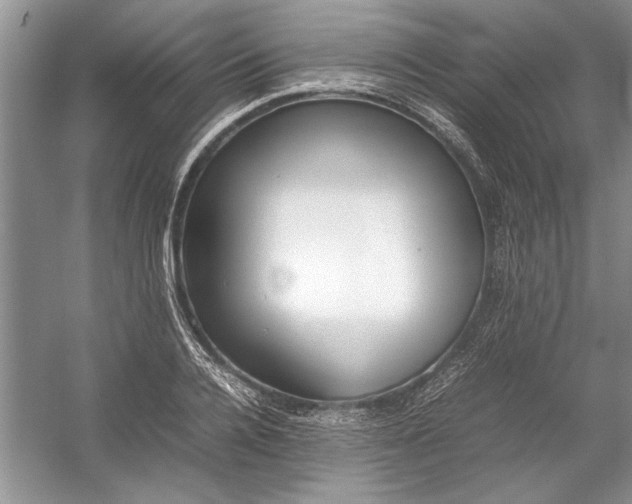 X0000054370936200508191842