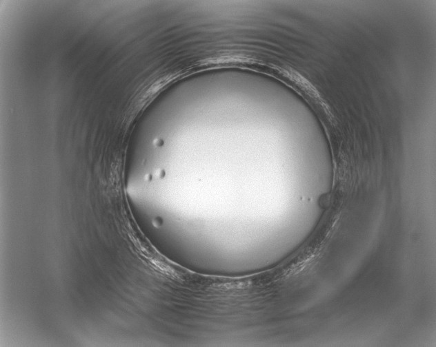 X0000054370937200508191843