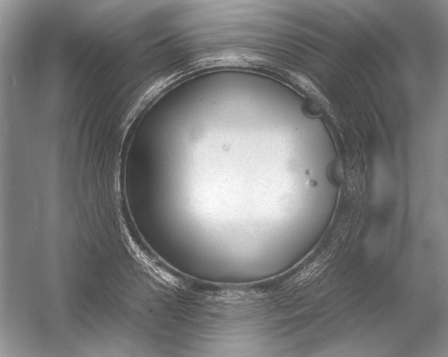 X0000054370938200508191843