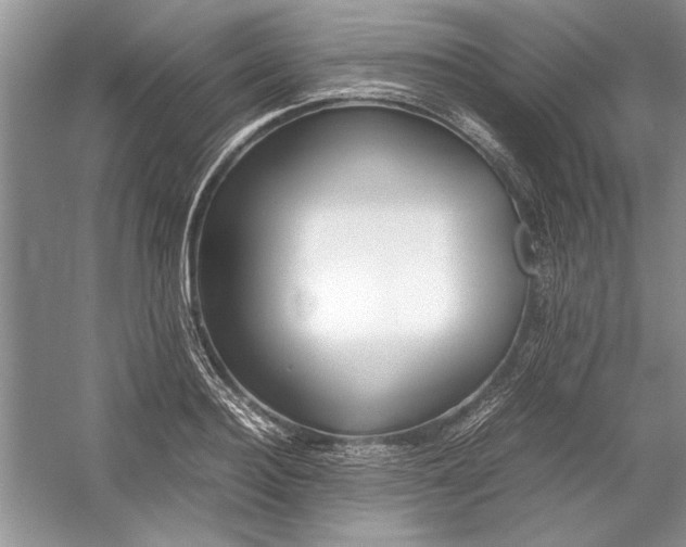 X0000054370940200508191843