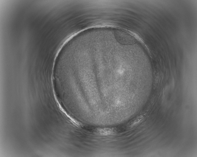 X0000054370943200508191843