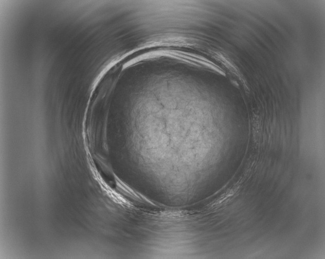 X0000054370944200508191843