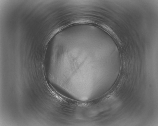 X0000054370945200508191843