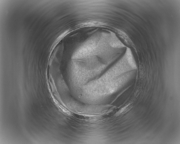 X0000054370946200508191843