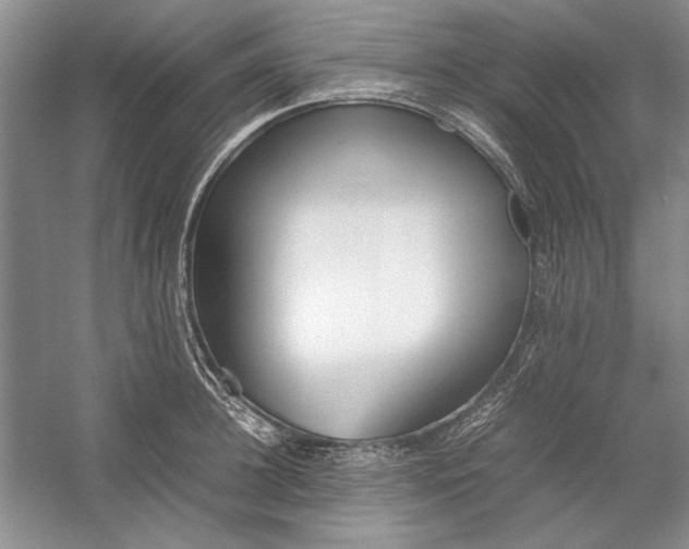 X0000054370948200508191843