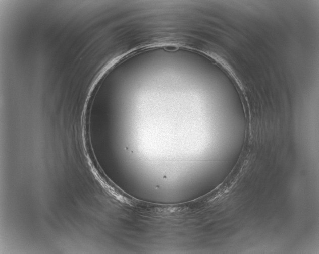 X0000054370949200508191843