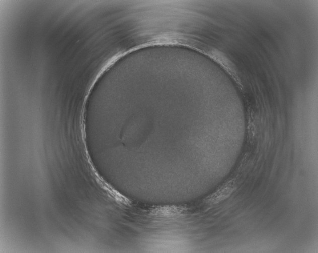 X0000054370950200508191843