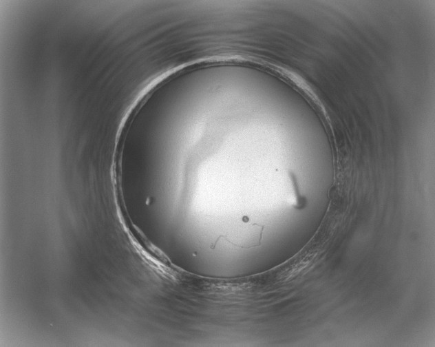 X0000054370951200508191843