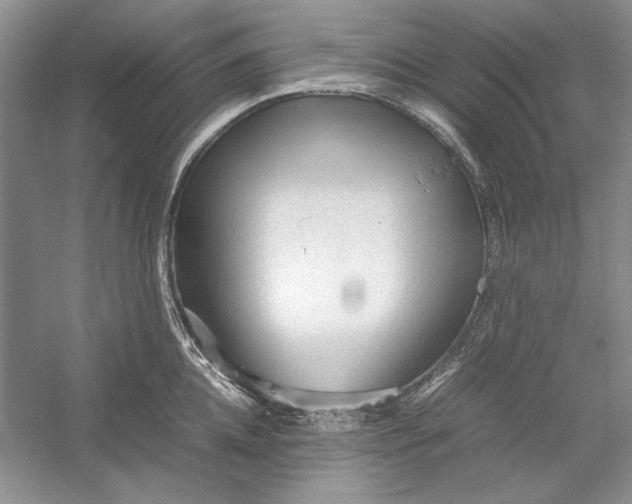 X0000054370952200508191843