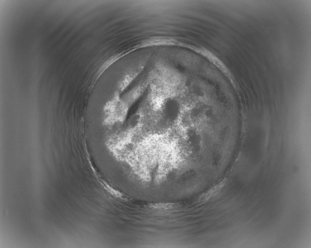 X0000054370953200508191843