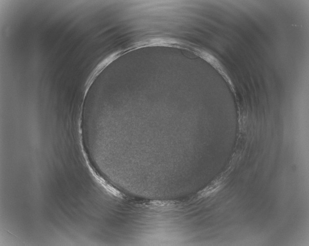 X0000054370954200508191843