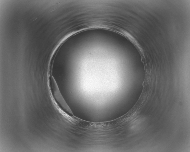 X0000054370955200508191843