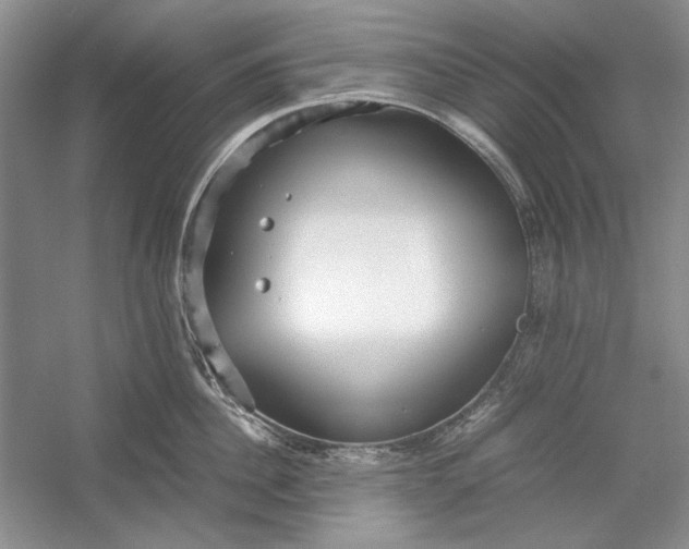 X0000054370956200508191843