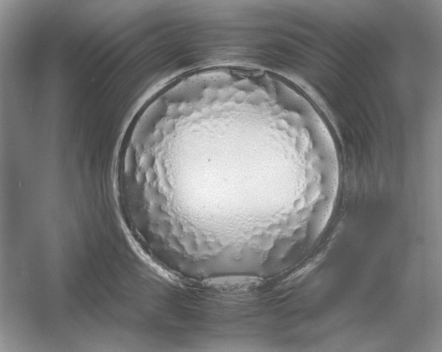 X0000054370957200508191843