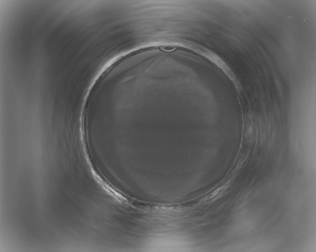 X0000054370958200508191843