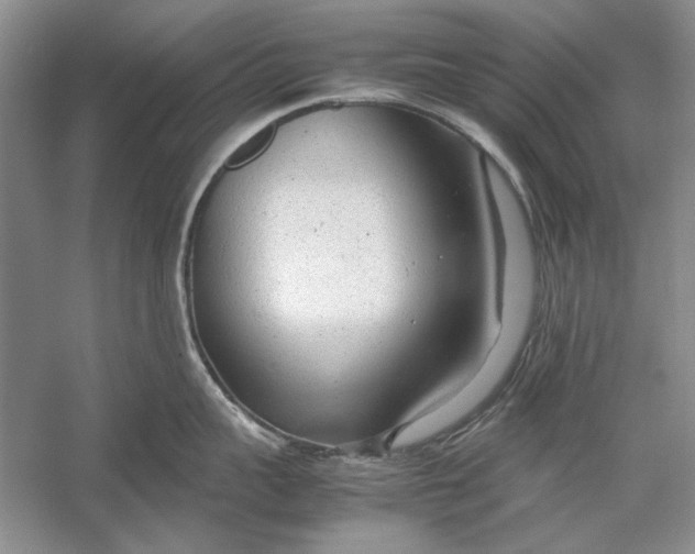 X0000054370959200508191843