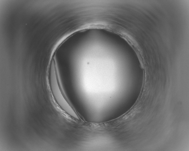 X0000054370960200508191843