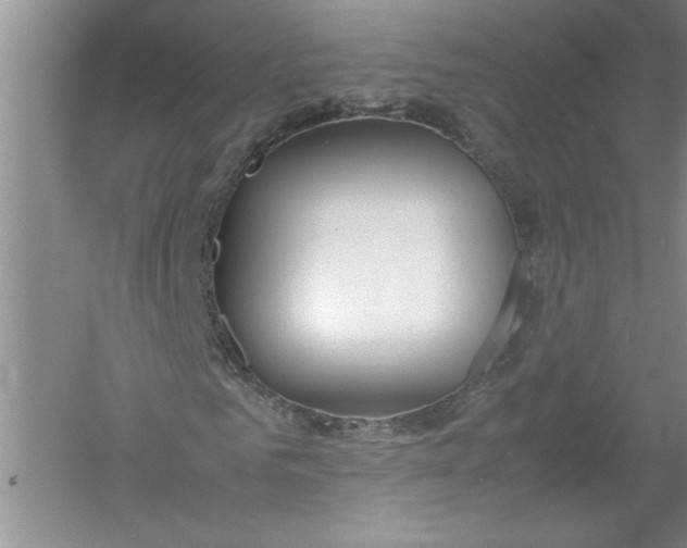 X0000054370961200508191842