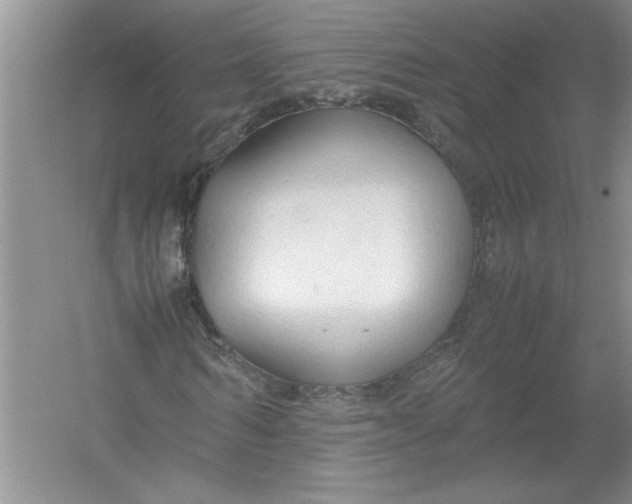 X0000054370962200508191842