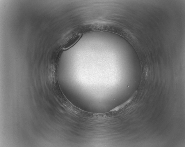 X0000054370964200508191842