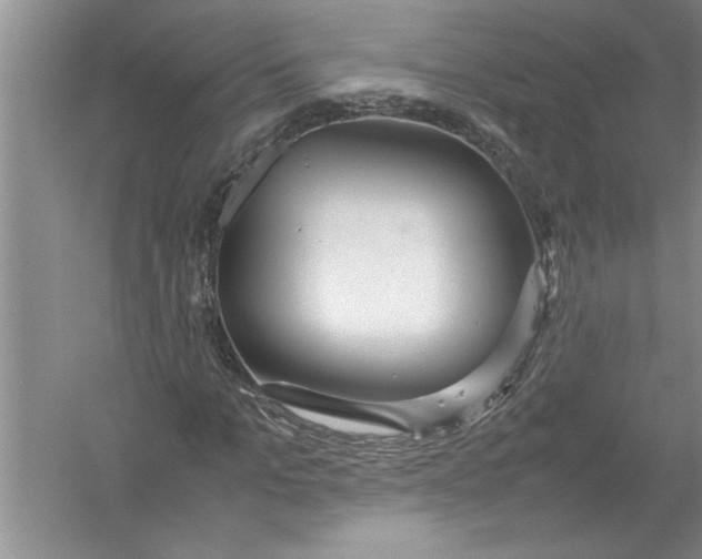 X0000054370965200508191842